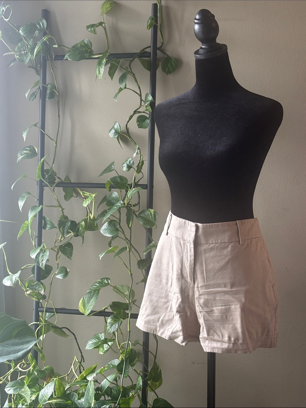 Ann Taylor Light Beige High-Rise Tailored Shorts